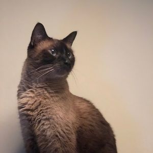 Meet your Posher, Lucy